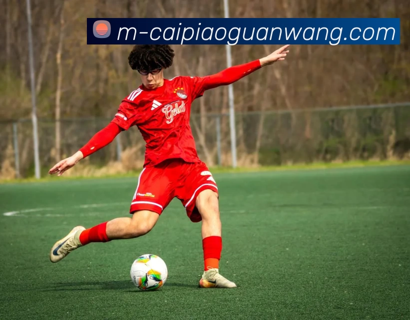 彩票官网平台生态图