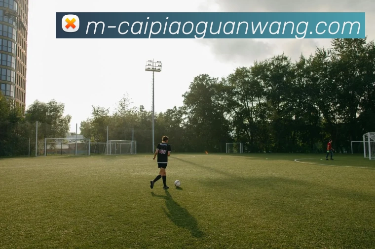 彩票官网全站App